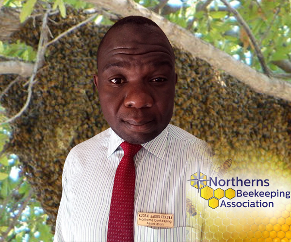 Bee Removal
